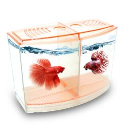 Atlantik İkili Beta Kabı